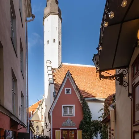 Penzion Pueha Vaimu Kuelalistemaja Tallinn